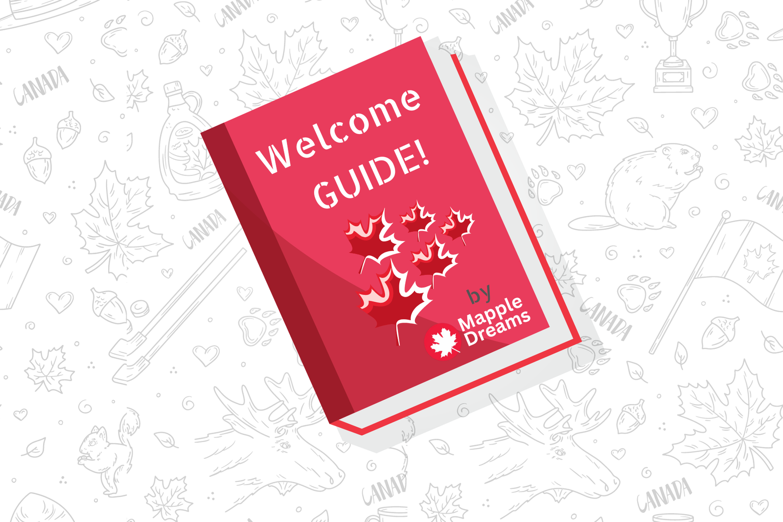 Helpful Guides for New Immigrants by Mapple Dreams